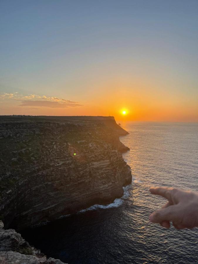 Gc Petit Palais * Lampedusa
